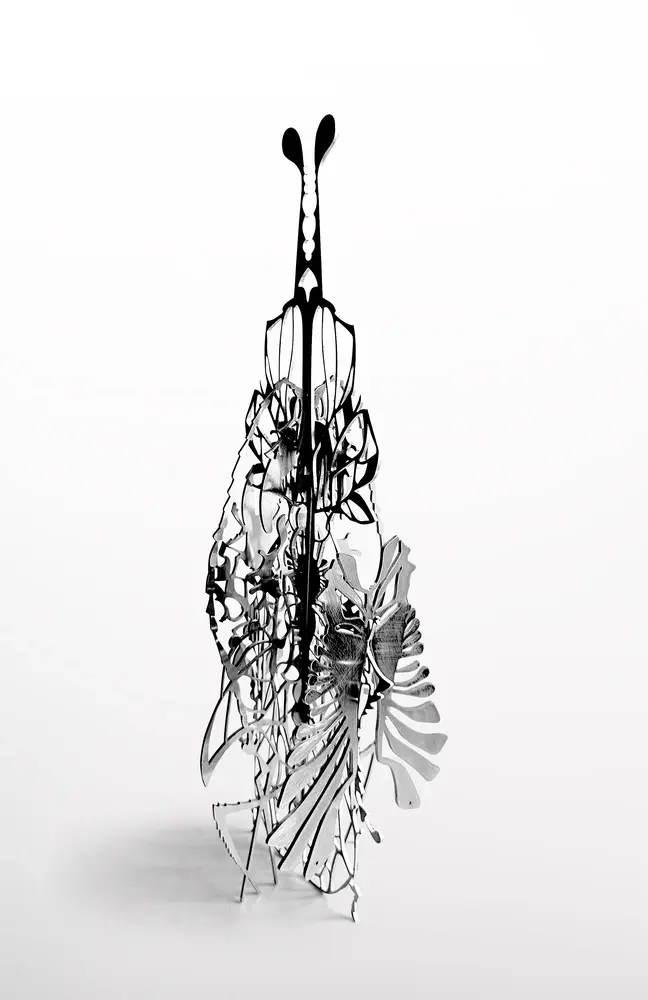 Scultura esoscheletro di insetto, Coco Brun, bio-arte entomologico