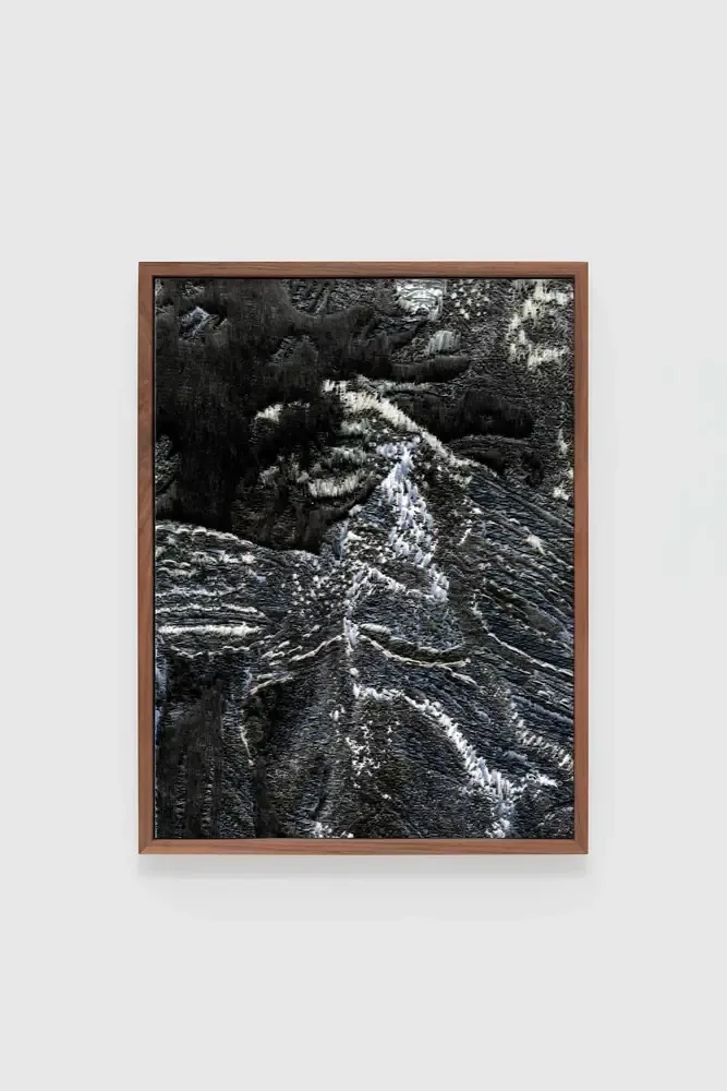 Exotic Exodus — 04, óleo sobre textil tejido y bordado — vista de la obra