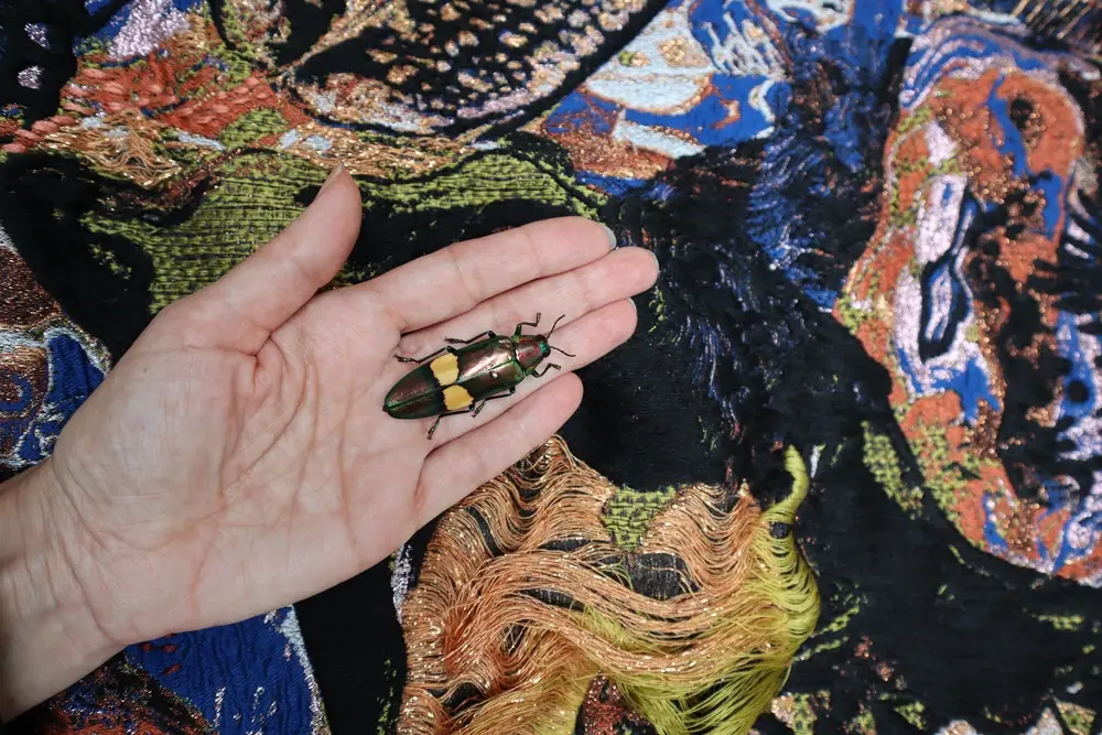 Anthropocene textile art, insect embroidery, eco-art, multicolor and metallic threads, Coco Brun